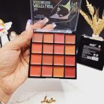 پالت رژ لب 16 رنگ برند ارتسکین artskin کد AS972107