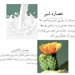 کرم لایه بردار ایمجز مدل شیر گاو وزن 80 گرم مجموعه 2 عددی