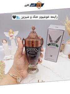ادکلن مردانه ویکتور 100ml VICTOR کد BN_17166