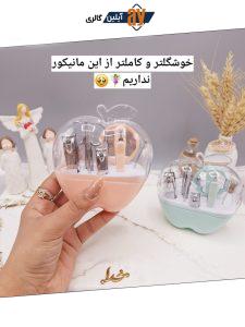 ست مانیکور و پدیکور طرح اپل 9 تکه کد F0130
