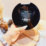 پالت رژ لب 27 رنگ دایره ای آرت اسکین Artskin کد AS972120