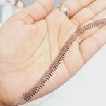 مژه ریسه ای سایز 8 کیفیت عالی