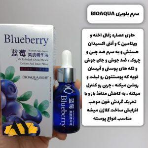سرم لیفتینگ و آبرسان بلوبری واندر بیواکوا BIOAQUA کد BQY0528 | پخش عمده