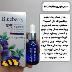 سرم لیفتینگ و آبرسان بلوبری واندر بیواکوا BIOAQUA کد BQY0528 | پخش عمده