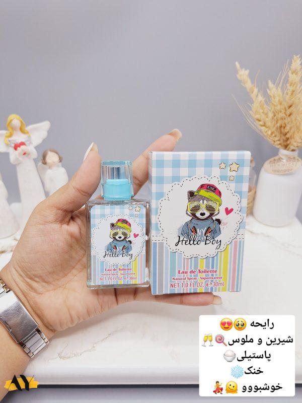 عطر شاد و جذاب روباه برند LADY LADY IDEA کد LD9105