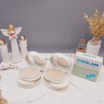 پنکک مات فیوژن برند شیگلم کد 2862