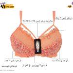 سوتین زنانه گیپور زیر نخ فنردار هارنس