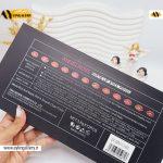 پک رژ لب 12 تایی پیچی مات برند ANGELROSE